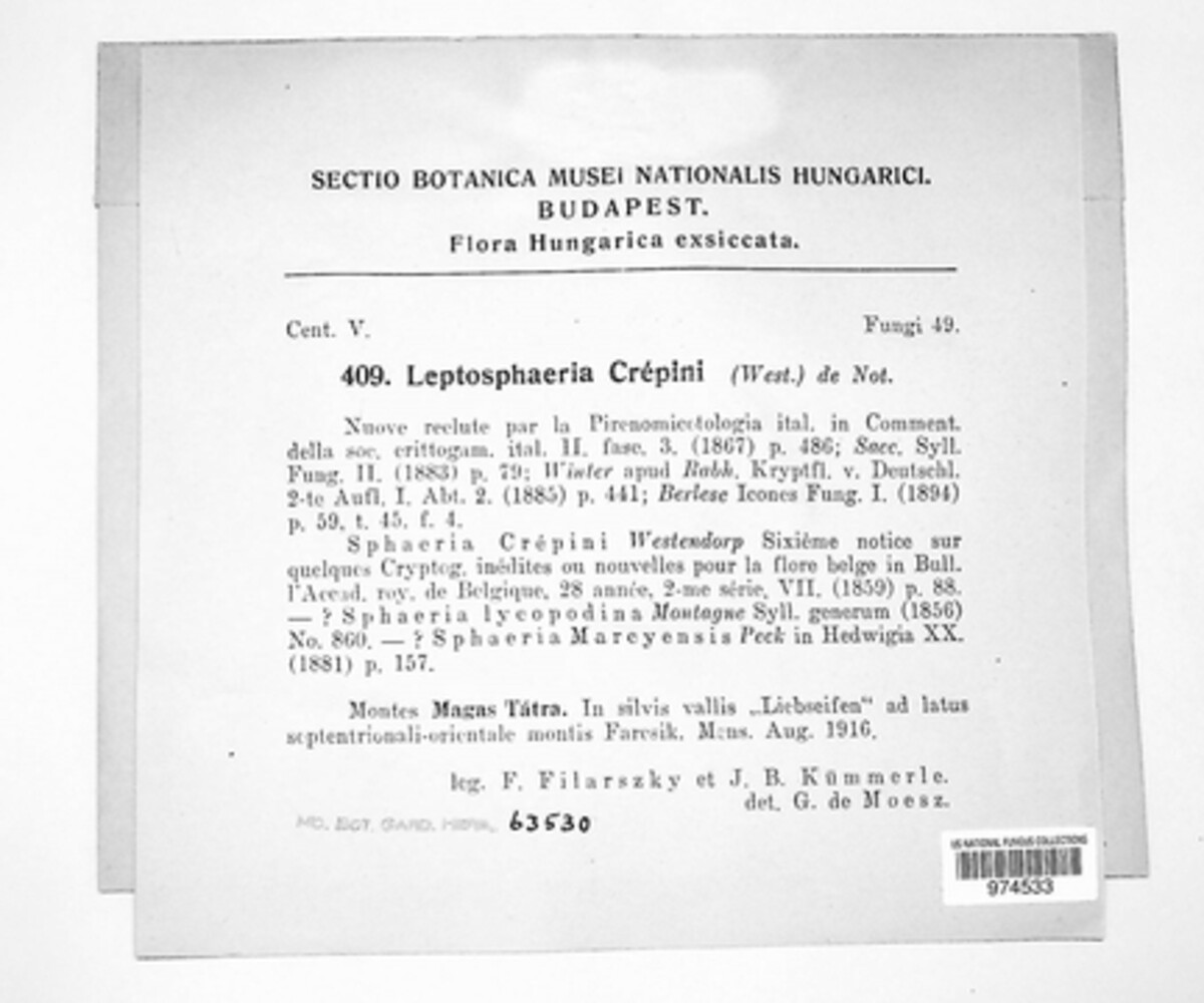 Leptosphaeria crepini image
